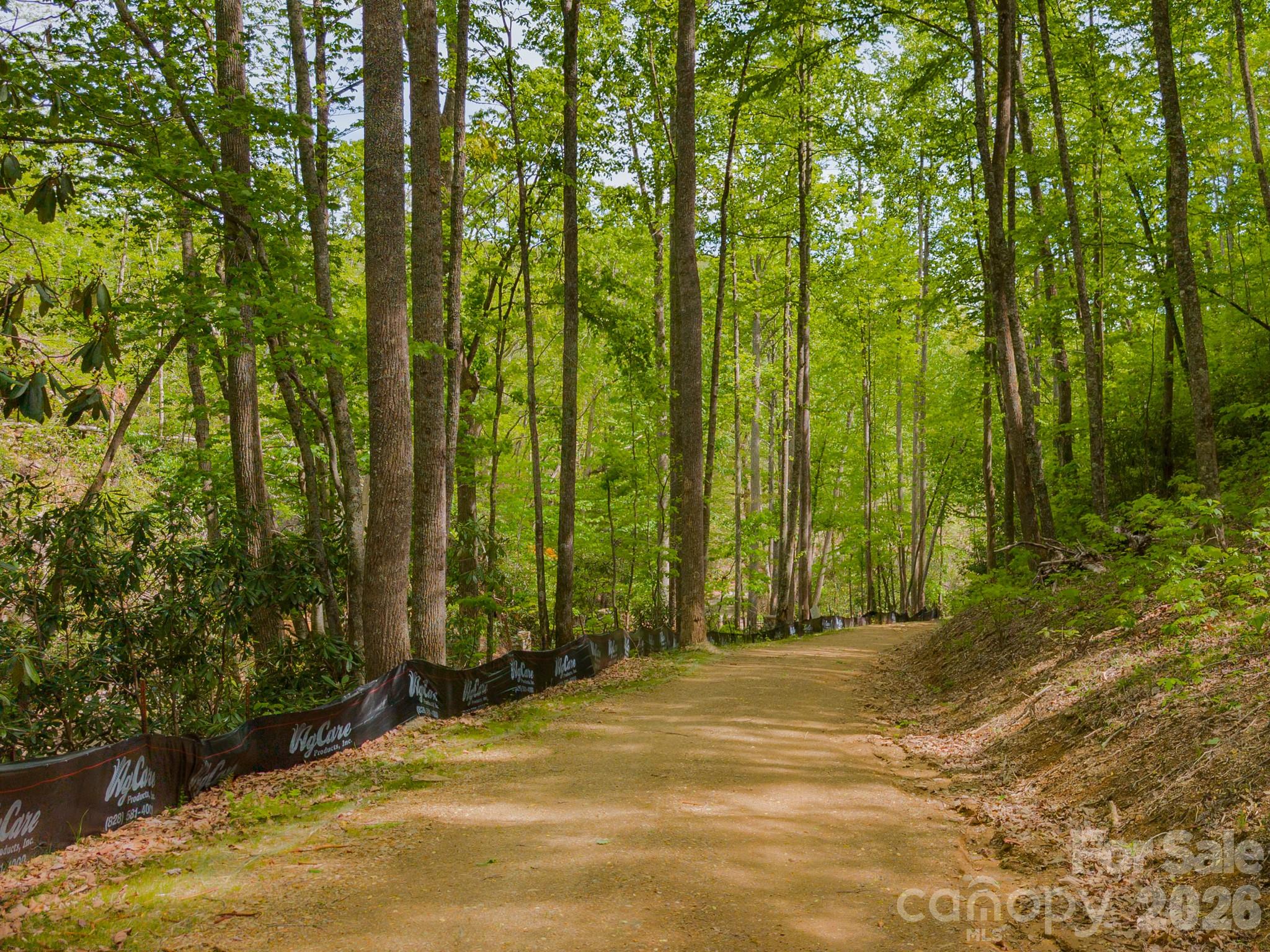 10.1-acres On Old Fort Road Fairview, NC 28730 - Photo 24 of 28 a view of swimming pool and trees in the background