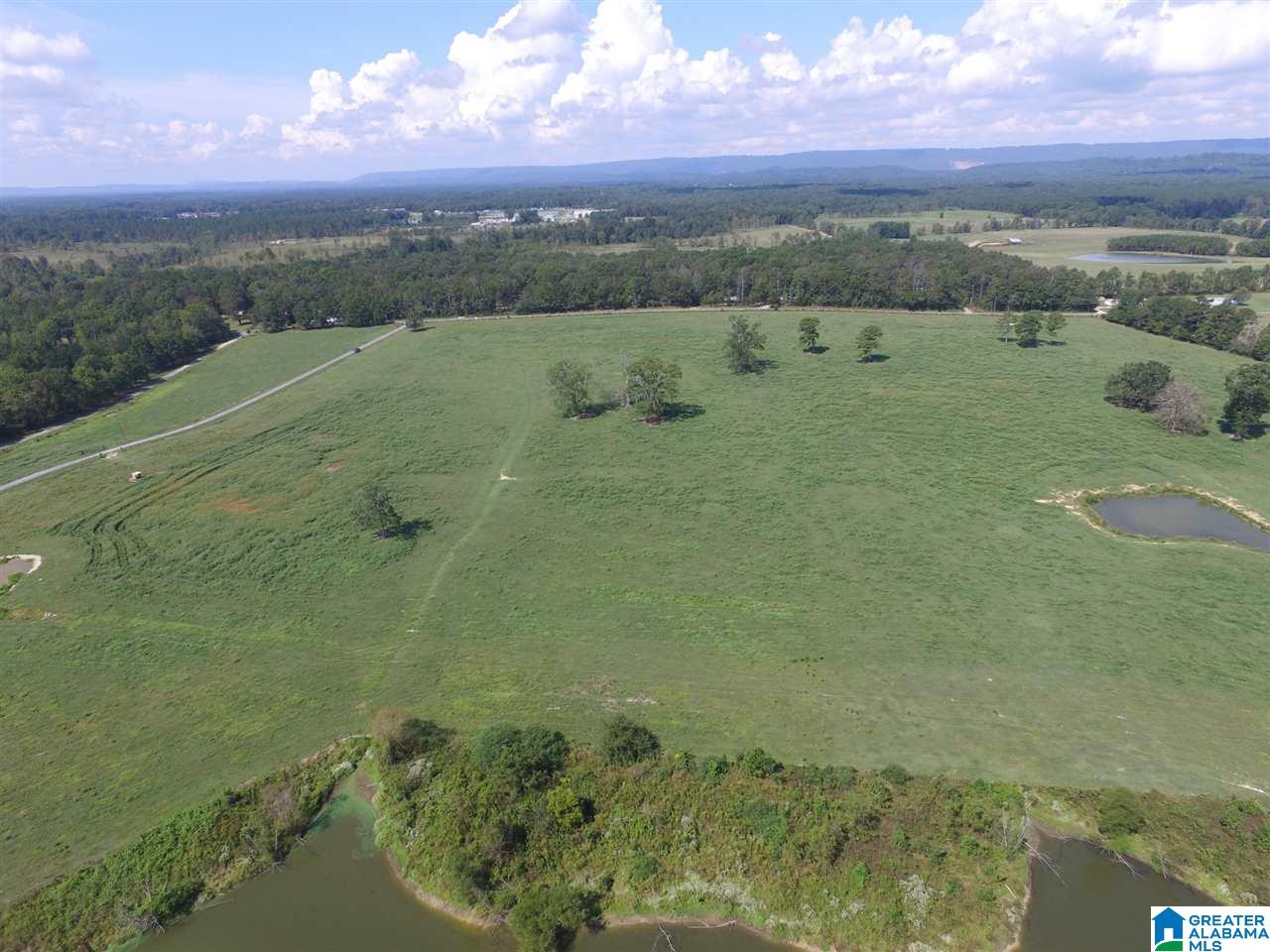 Double Bridge Road, Unit 11 Steele, AL 35987 - Photo 2 of 4 Gallery Image 2