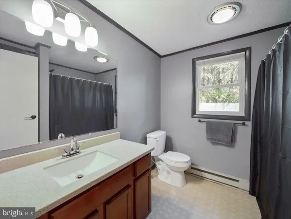 a bathroom with a sink a toilet and a large mirror