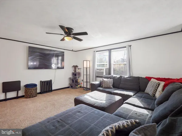 a living room with furniture ceiling fan and a rug