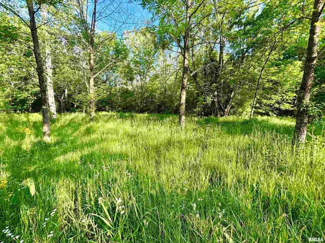 $280,000 | 7544 Geranium Road, Oakdale, IL 62268