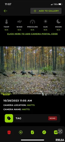 $280,000 | 7544 Geranium Road, Oakdale, IL 62268