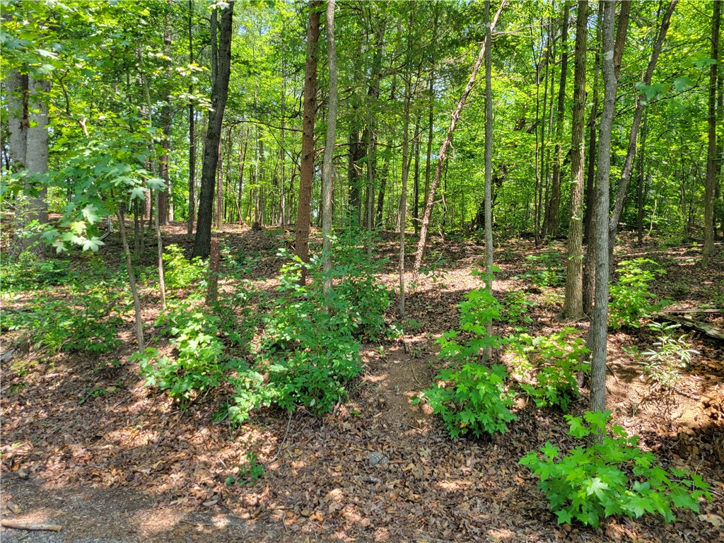 306 Foxfire Road Central, SC 29630 - Photo 5 of 12