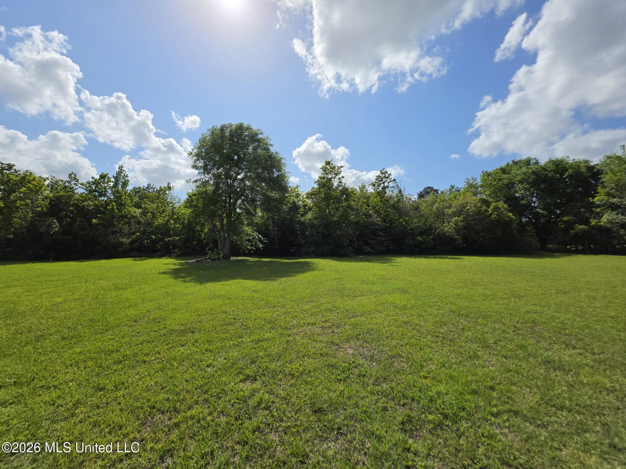 25 Bryan Circle Picayune, MS 39466 - Photo 71 of 86 20260413_155143