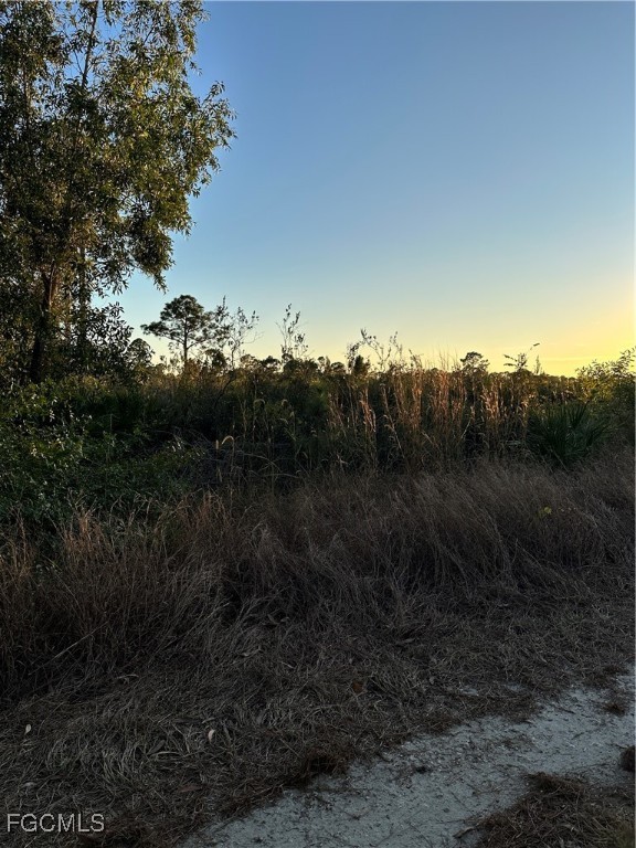 7783 1st Terrace Lehigh Acres, FL 33936 - Photo 2 of 3