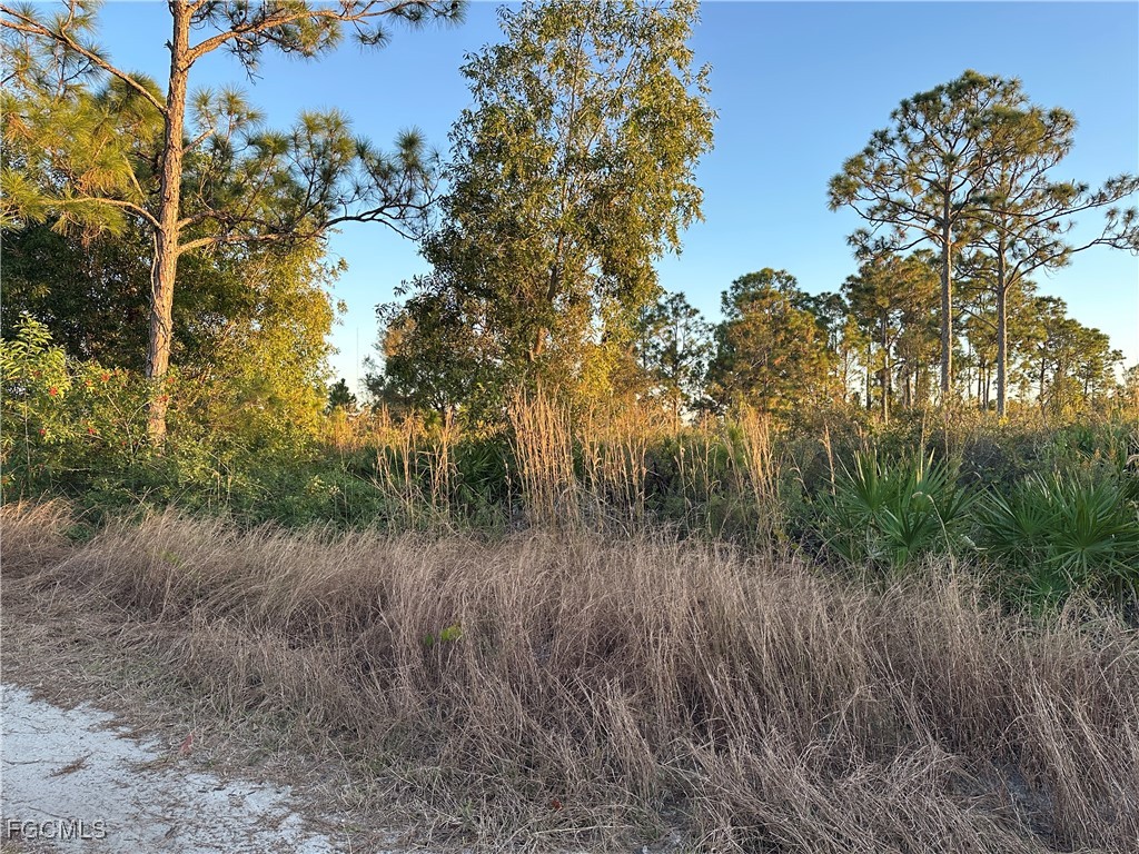 7783 1st Terrace Lehigh Acres, FL 33936 - Photo 3 of 3