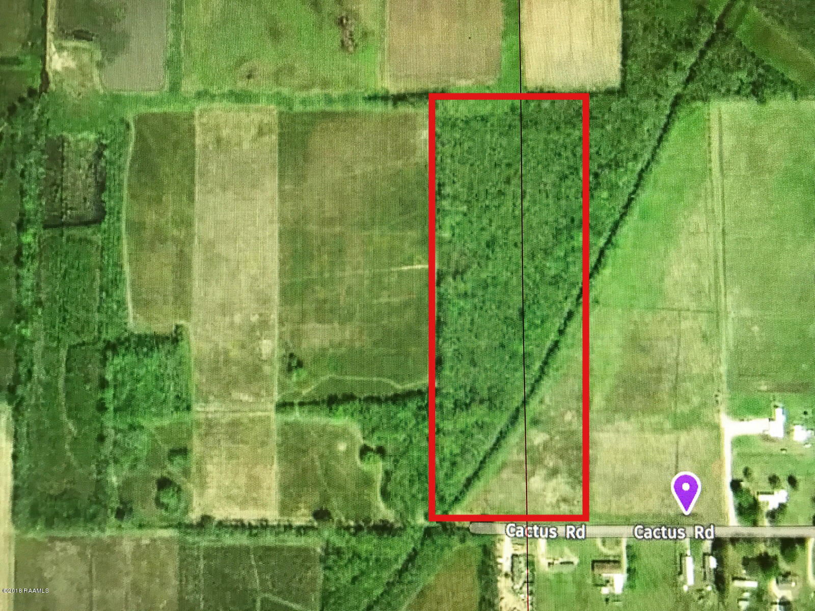 Tbd Cactus Road Duson, LA 70529 - Photo 1 of 1