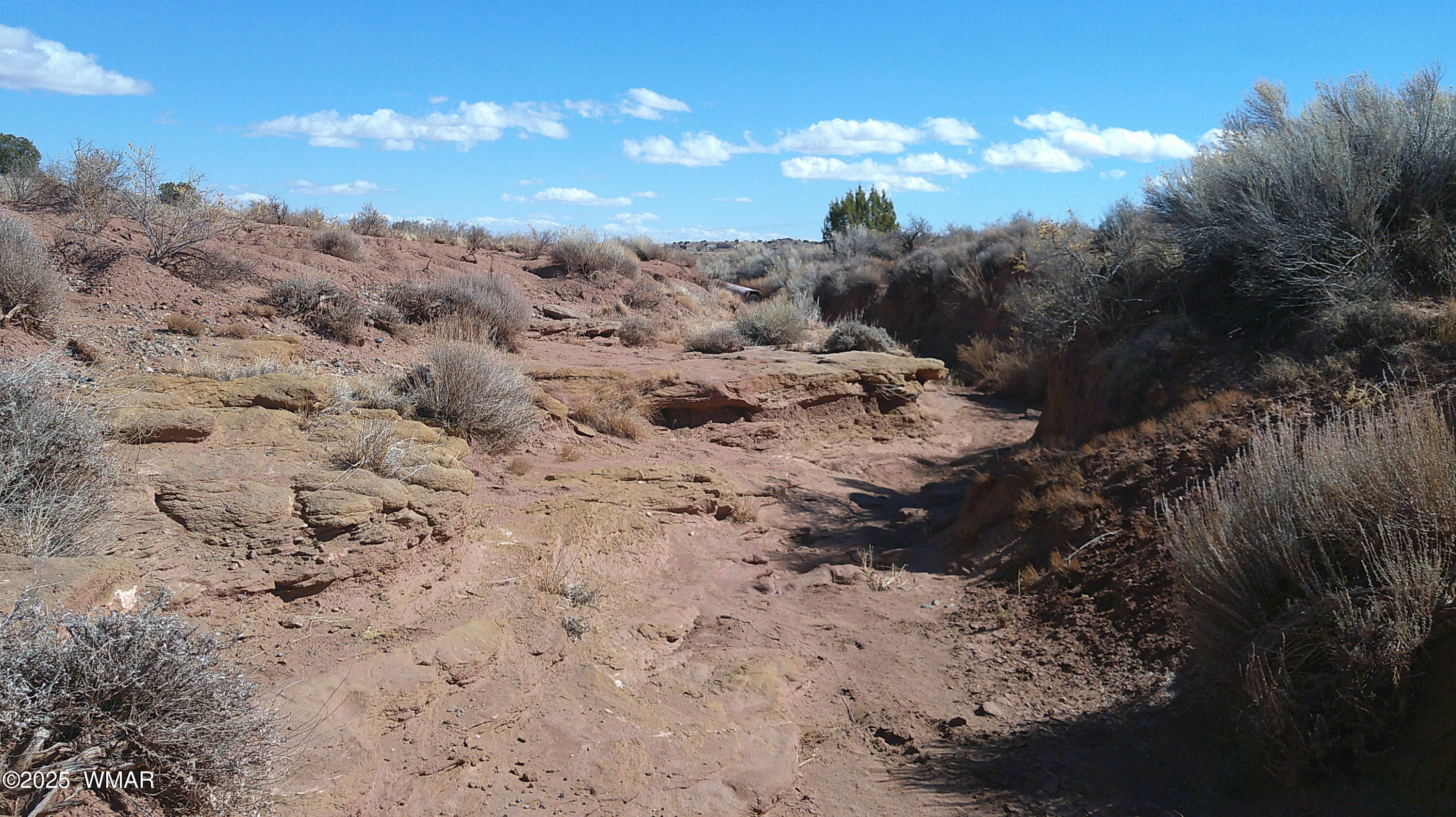 5280 Concho Ocho Road Snowflake, AZ 85937 - Photo 18 of 33 DSCF0004