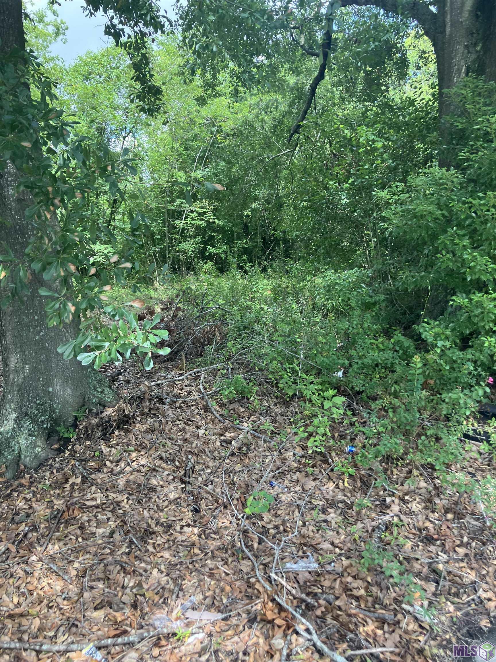 615 North 33rd Street Baton Rouge, LA 70802 - Photo 1 of 5