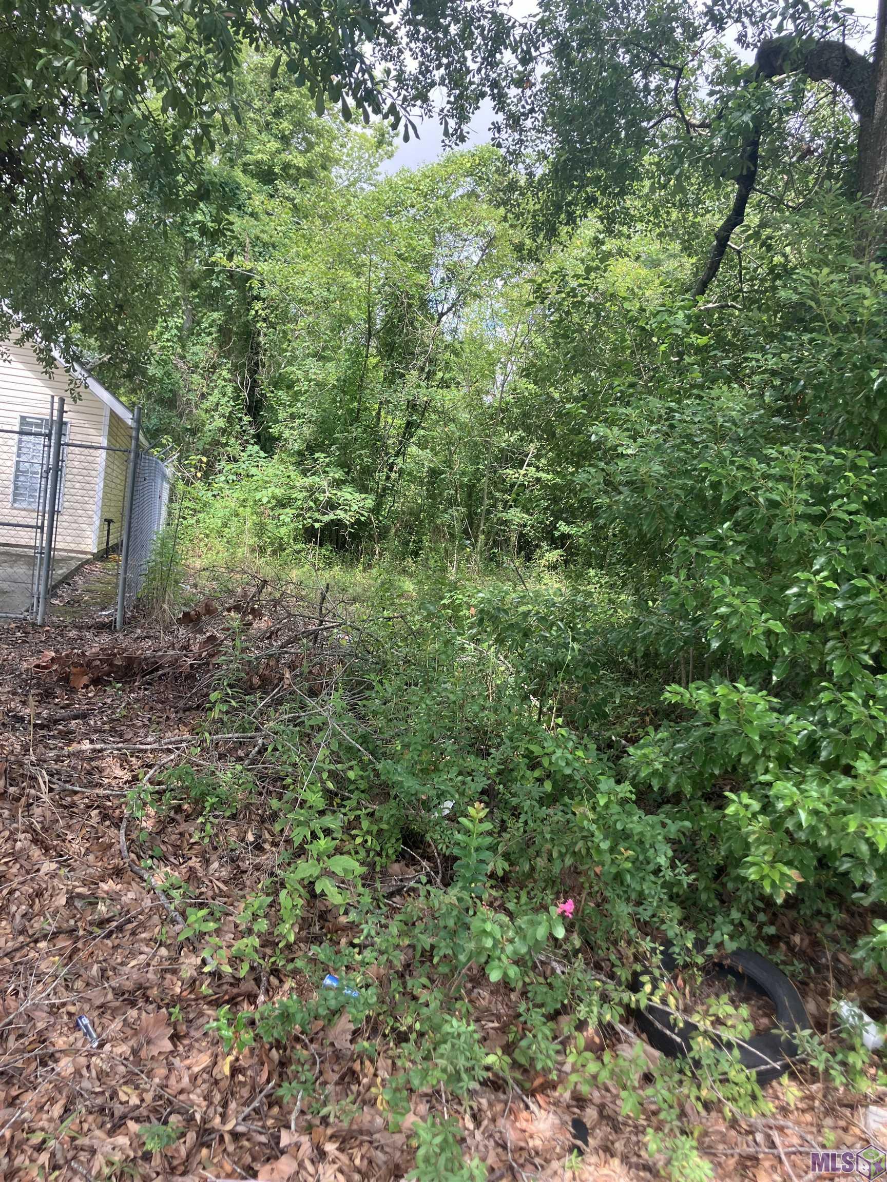 615 North 33rd Street Baton Rouge, LA 70802 - Photo 3 of 5