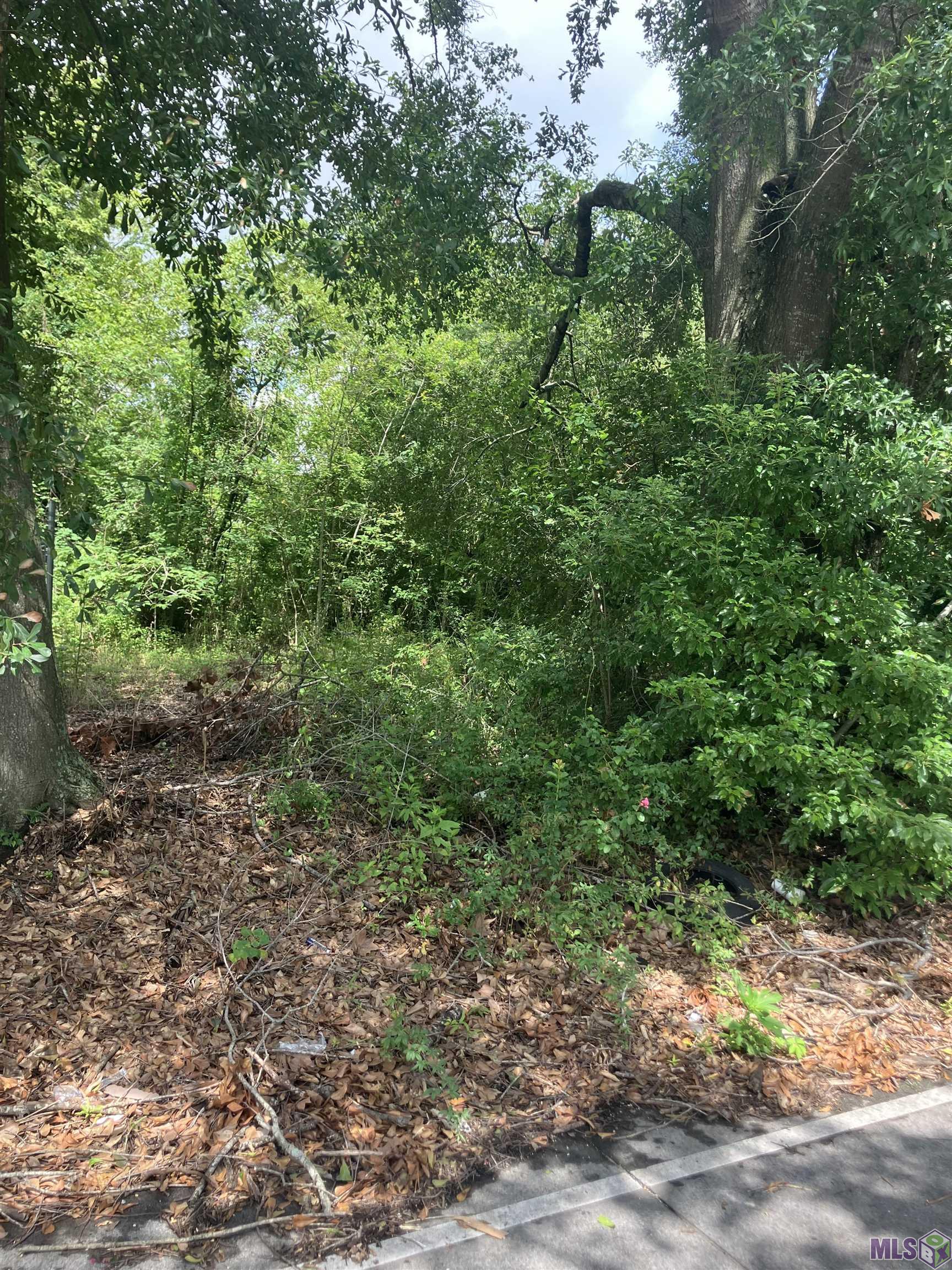 615 North 33rd Street Baton Rouge, LA 70802 - Photo 4 of 5