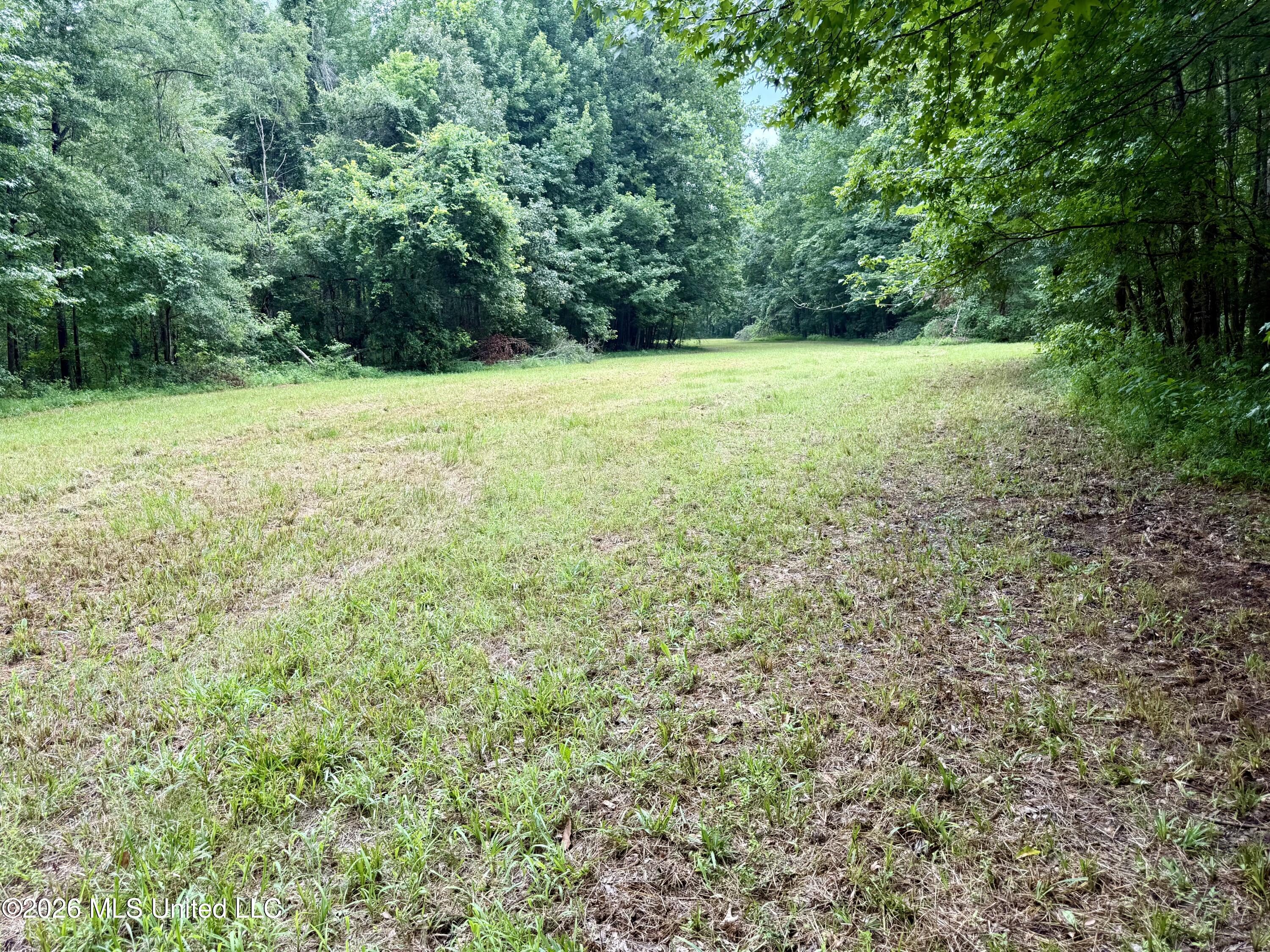 568 Smith-Bailey Road Durant, MS 39063 - Photo 67 of 81 Photo Jul 02 2026, 2 44 14 PM