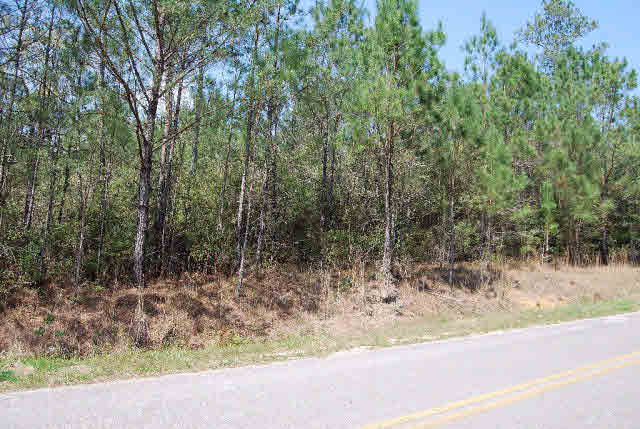 0 Williams Road Daphne, AL 36527 - Photo 2 of 4