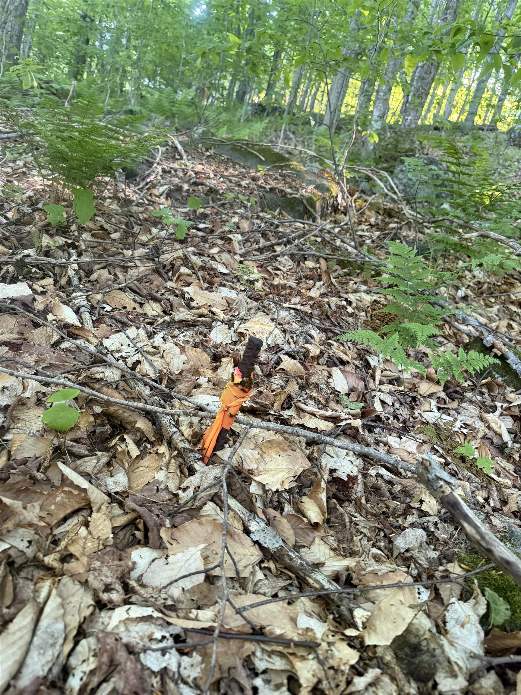 Scattered Timber Road Wilmington, VT 05363 - Photo 18 of 24