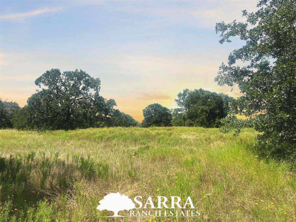 Lot 32 Galway Road Poolville, TX 76487 - Photo 1 of 18