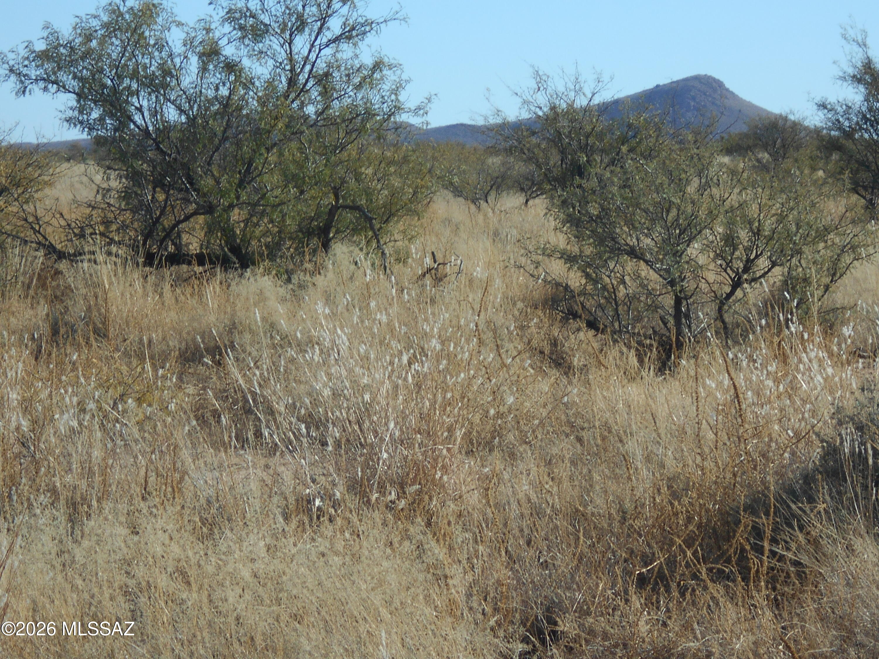 87 Acre Sidney Road, Unit 20 Pearce, AZ 85625 - Photo 15 of 16 DSCN5684