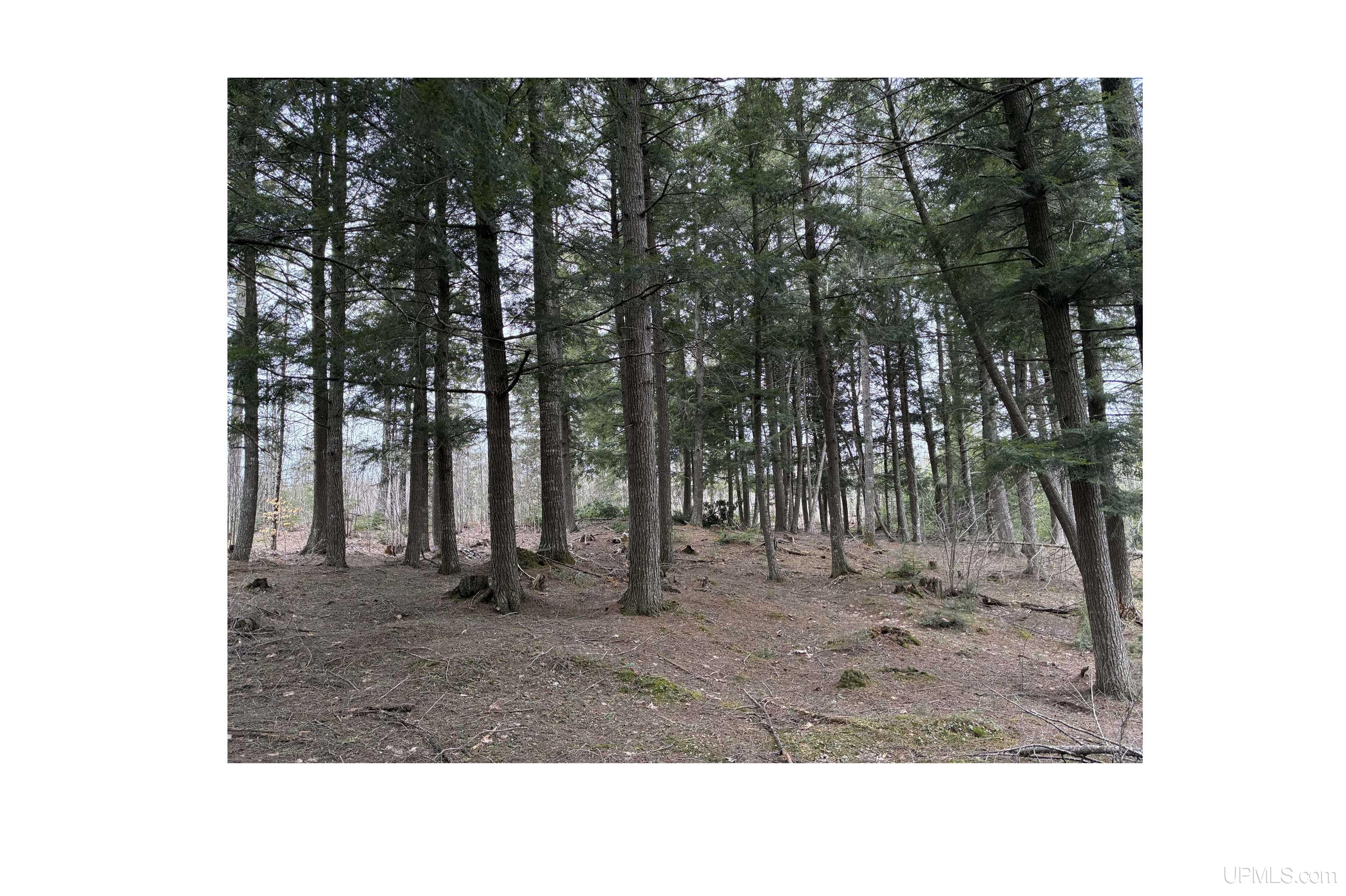 12451 15.5 Road Wetmore, MI 49878 - Photo 26 of 30
