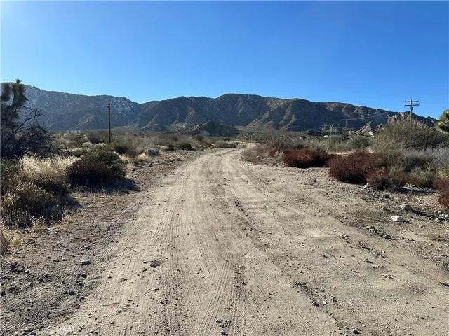 a view of a dry yard in front of a house