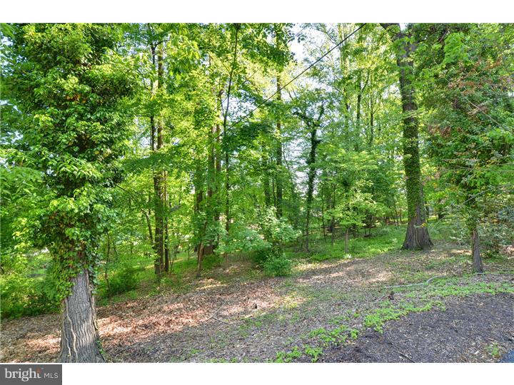 557 Forest Road Wayne, PA 19087 - Photo 22 of 25