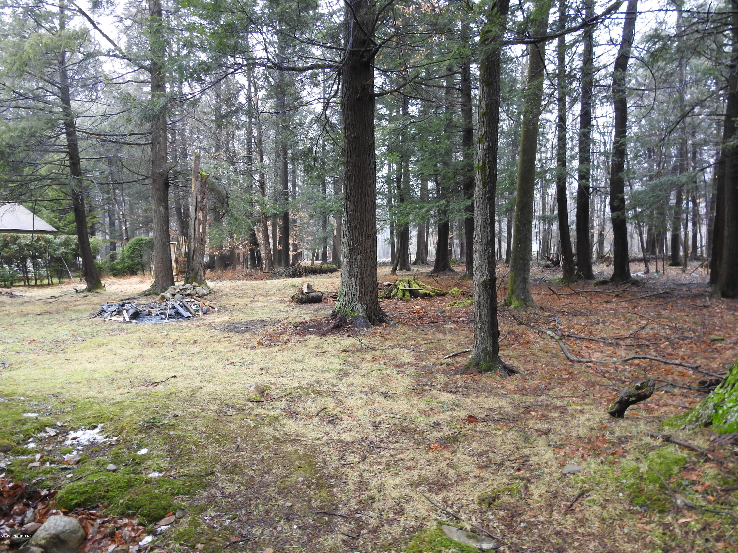 164 Pocono Road Albrightsville, PA 18210 - Photo 41 of 41 Back Yard