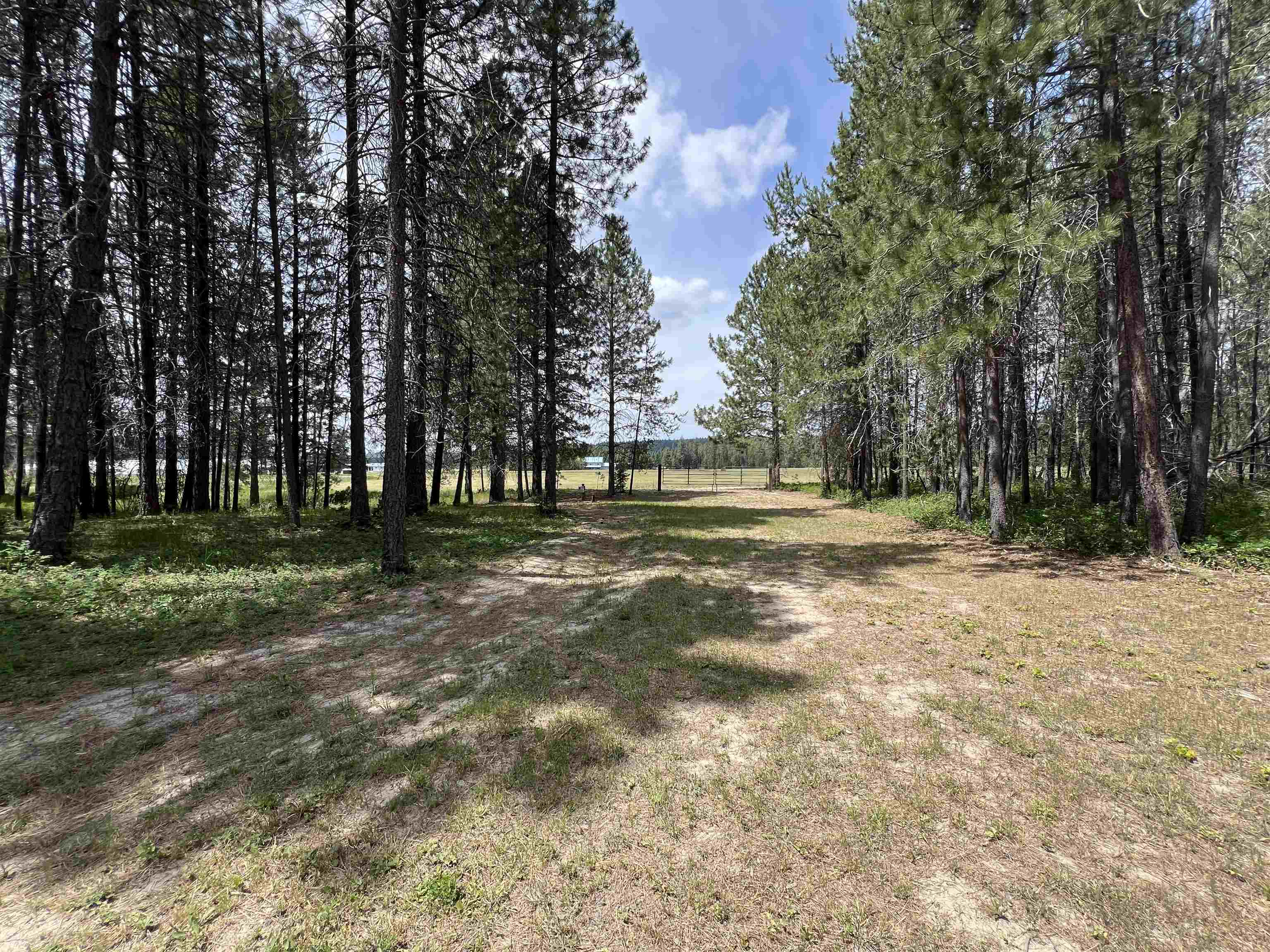 4430 D Springdale Hunters Road Springdale, WA 99173 - Photo 32 of 45