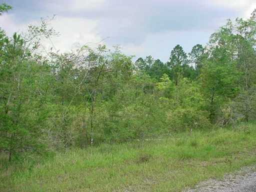 Pine Burr Road Vancleave, MS 39565 - Photo 1 of 4 Primary Photo