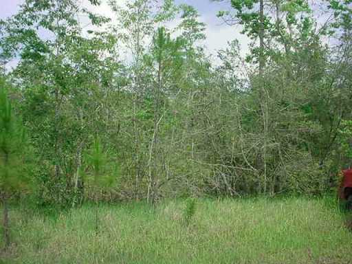 Pine Burr Road Vancleave, MS 39565 - Photo 2 of 4 Additional Photo