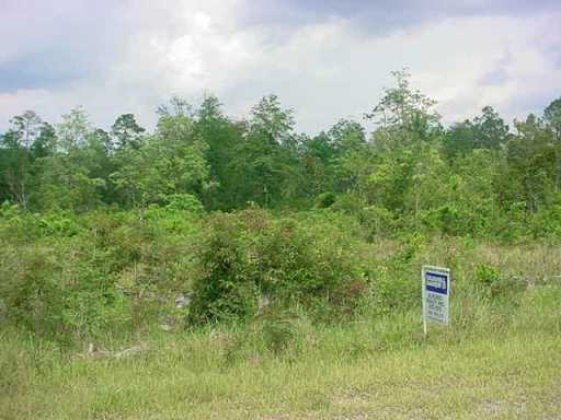 Pine Burr Road Vancleave, MS 39565 - Photo 3 of 4 Additional Photo