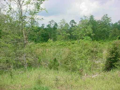 Pine Burr Road Vancleave, MS 39565 - Photo 4 of 4 Additional Photo