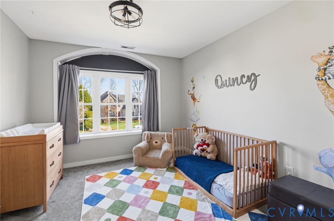 12107 Sunset Point Court Midlothian, VA 23112 - Photo 24 of 37