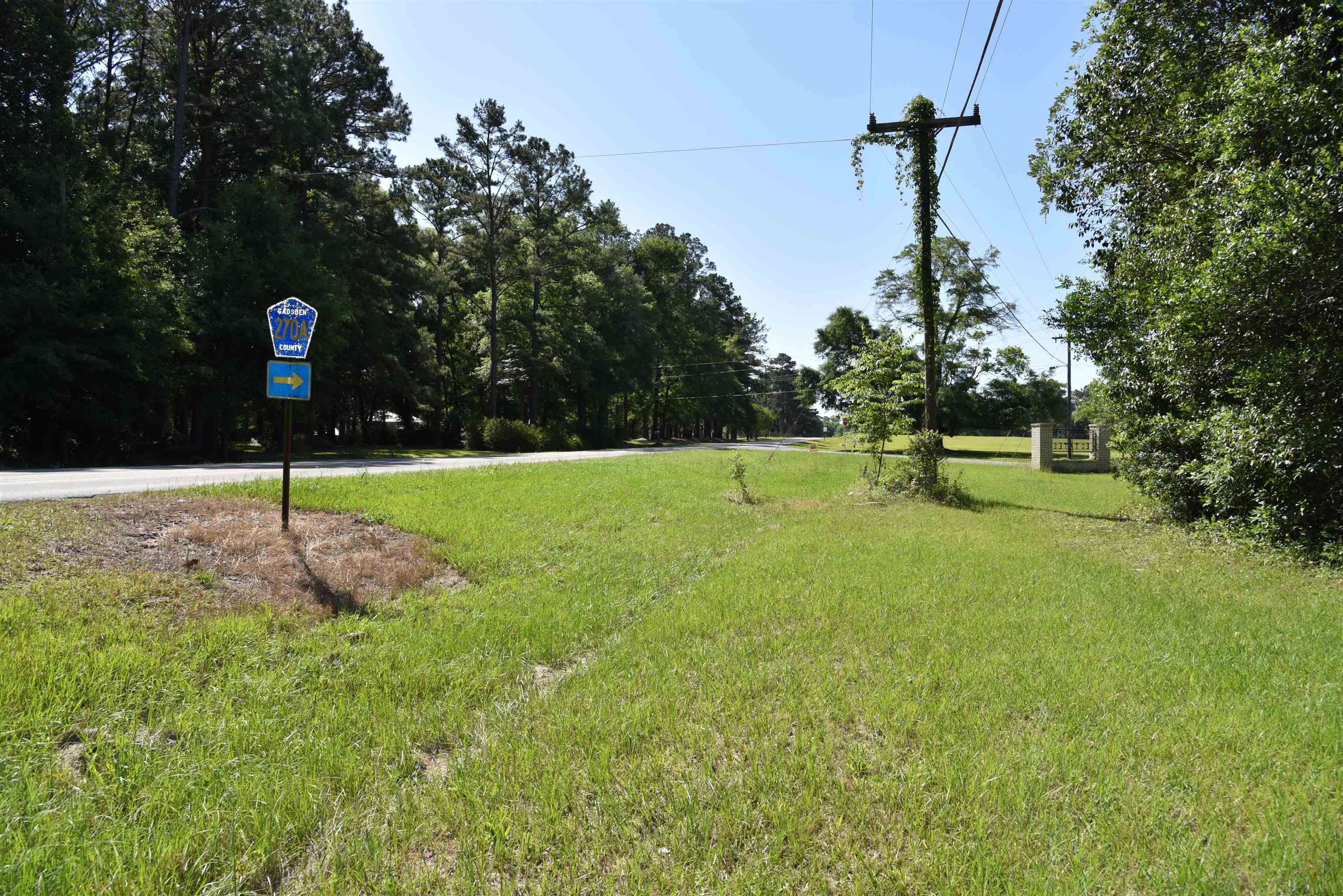 Solomon Dairy Road Quincy, FL 32352 - Photo 15 of 36