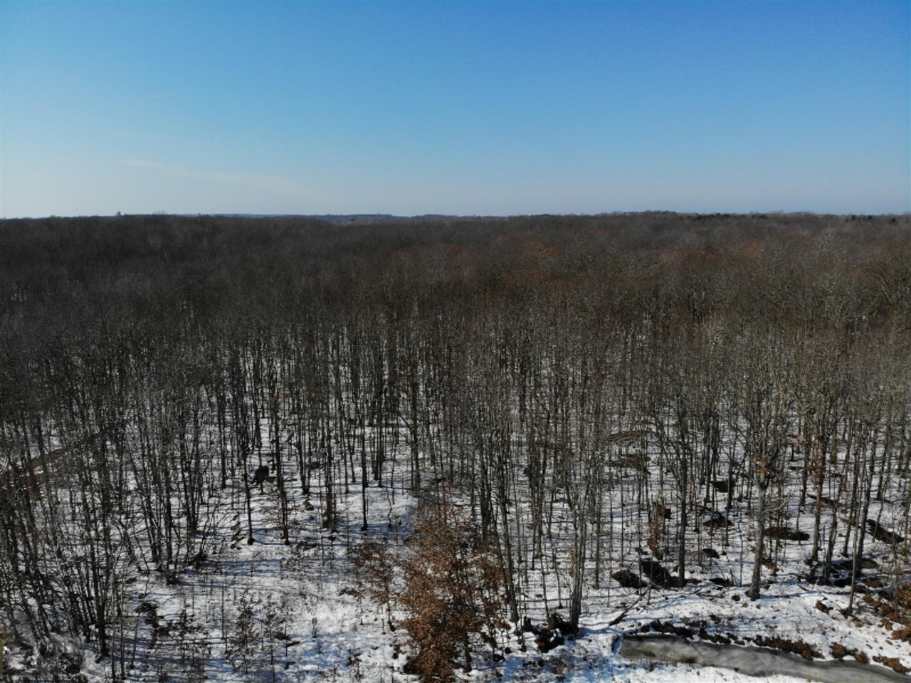Vl Paw Paw Lake Road Covert, MI 49043 - Photo 6 of 31 Gallery Image 6