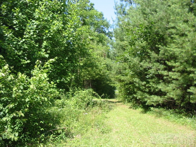 13 Smithey Road Crumpler, NC 28617 - Photo 1 of 1 Gallery Image 1