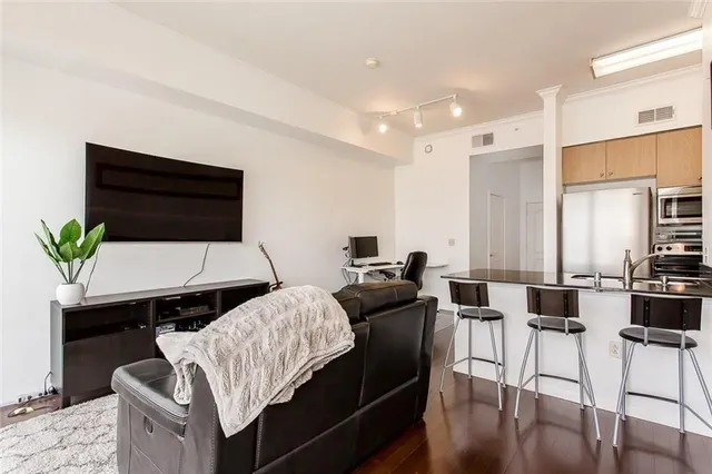 a living room with furniture and a potted plant