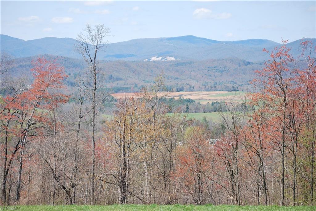 2883 North Lomax Road Traphill, NC 28685 - Photo 2 of 8 Gallery Image 2