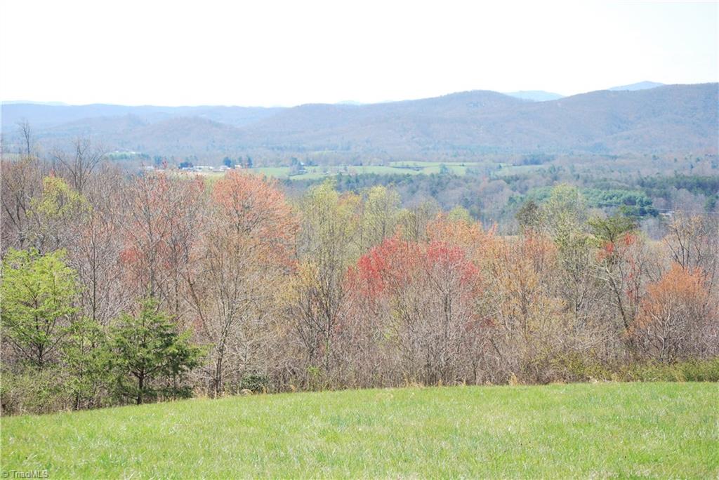 2883 North Lomax Road Traphill, NC 28685 - Photo 3 of 8 Gallery Image 3