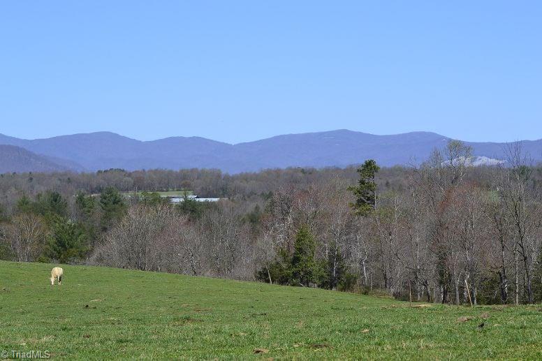 2883 North Lomax Road Traphill, NC 28685 - Photo 4 of 8 Gallery Image 4