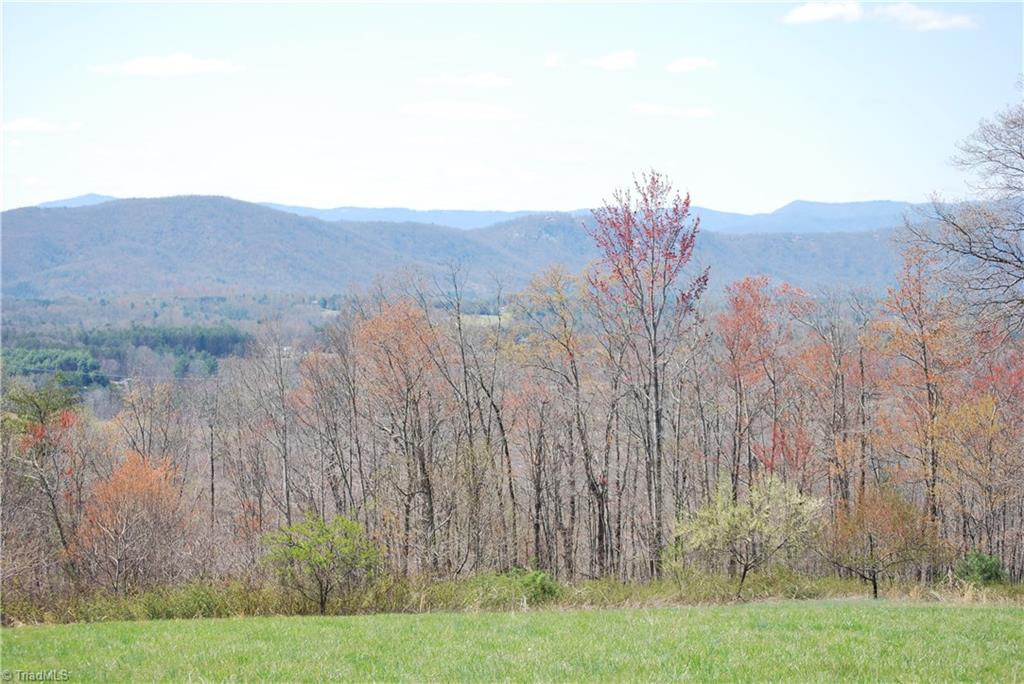 2883 North Lomax Road Traphill, NC 28685 - Photo 5 of 8 Gallery Image 5