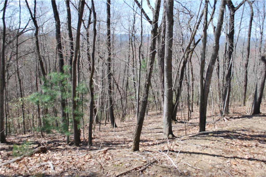 2883 North Lomax Road Traphill, NC 28685 - Photo 8 of 8 Gallery Image 8