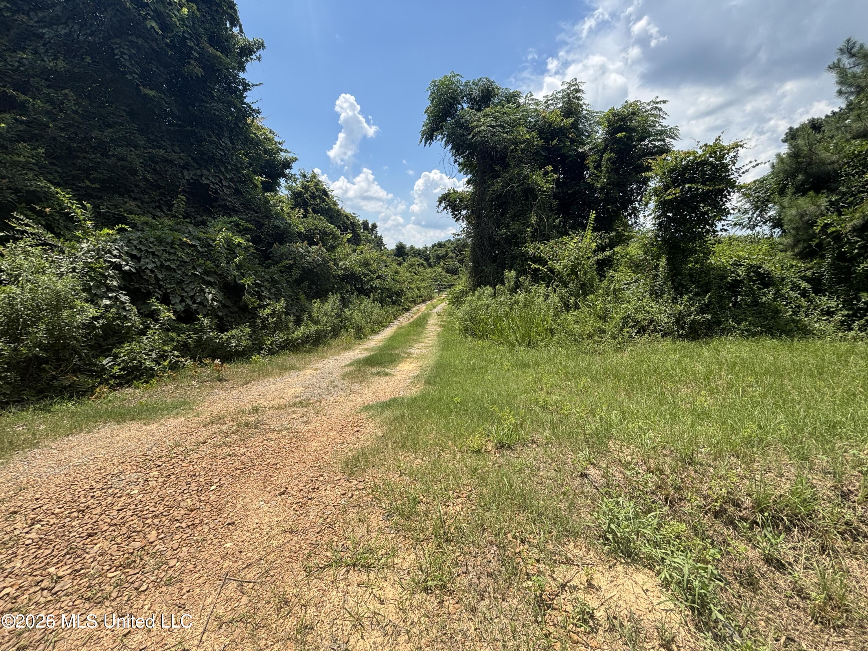 Firetower Road Camden, MS 39045 - Photo 1 of 12 IMG_4811