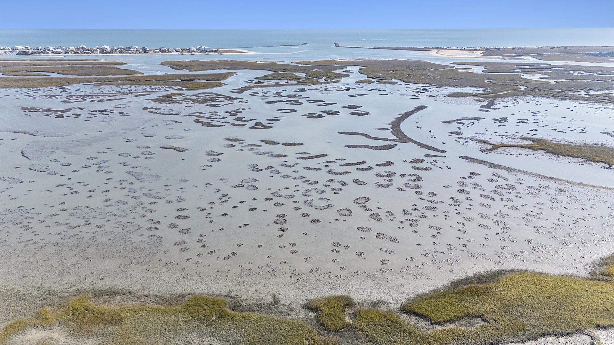 4840 Moss Creek Loop, Unit 55 Murrells Inlet, SC 29576 - Photo 37 of 40