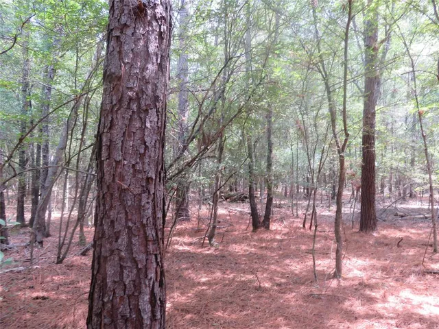 a view of outdoor space