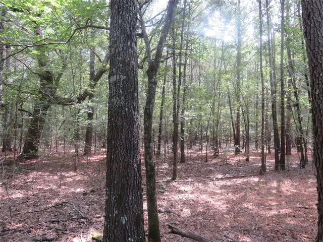 a view of outdoor space with lots of trees