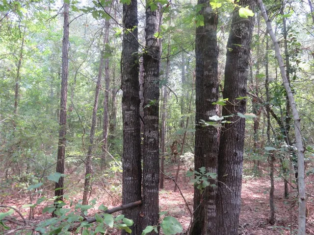 a backyard of a house with lots of green space and garden view