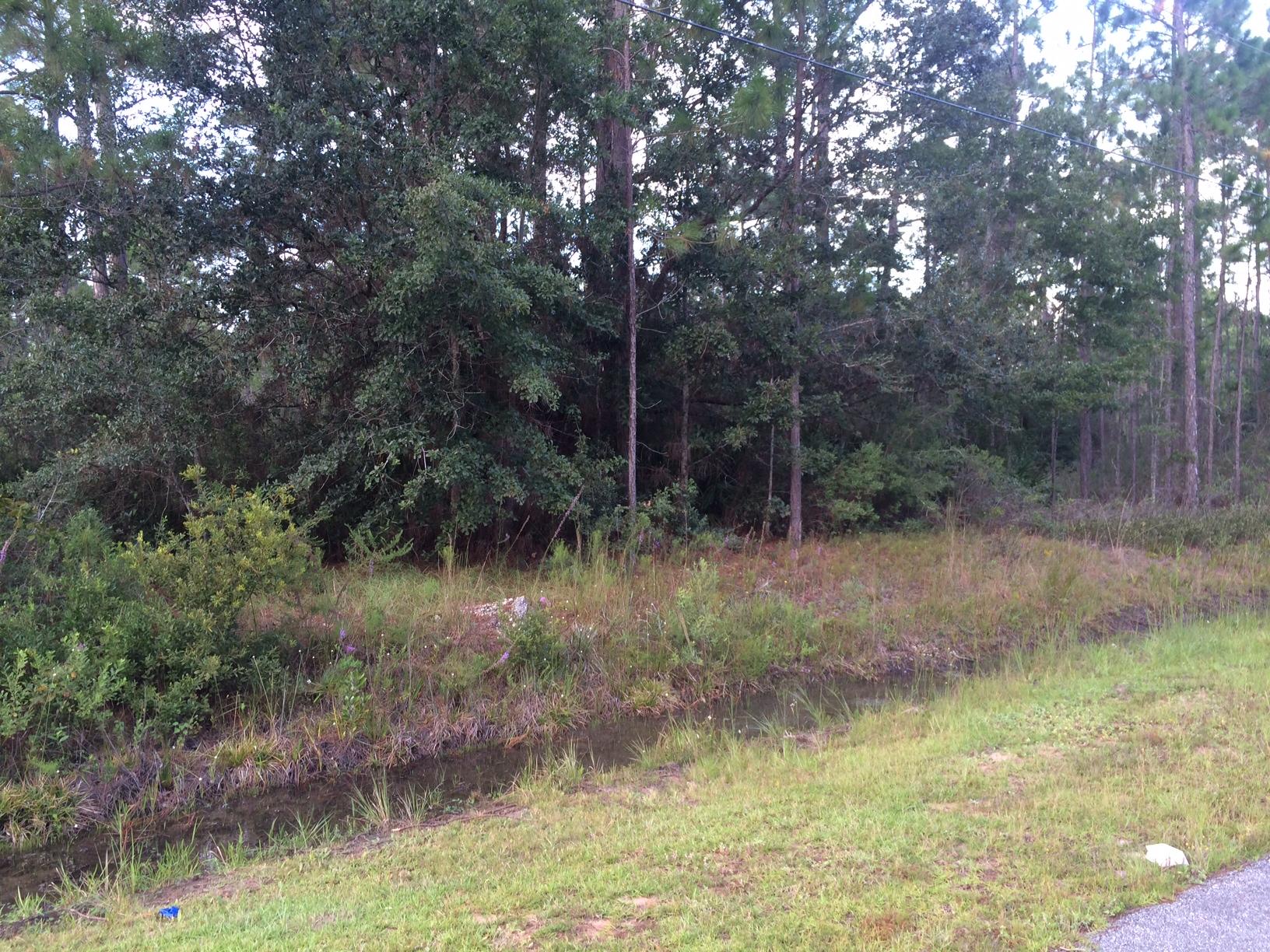 6634 Bluefish Road Navarre, FL 32566 - Photo 1 of 3 Bluefish (1)