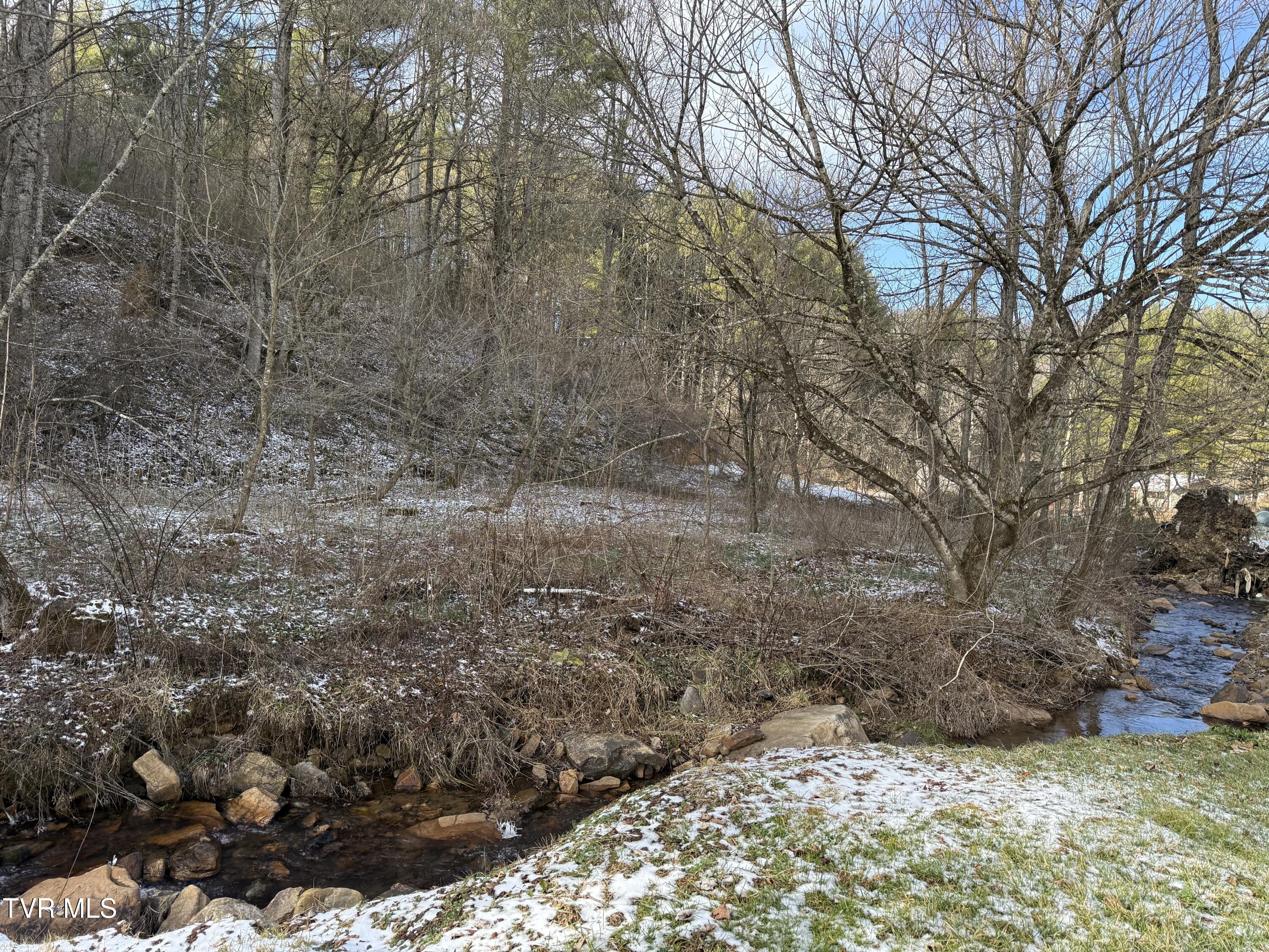 3191 Sugar Creek Road Laurel Bloomery, TN 37680 - Photo 16 of 34 3191 Sugar 9