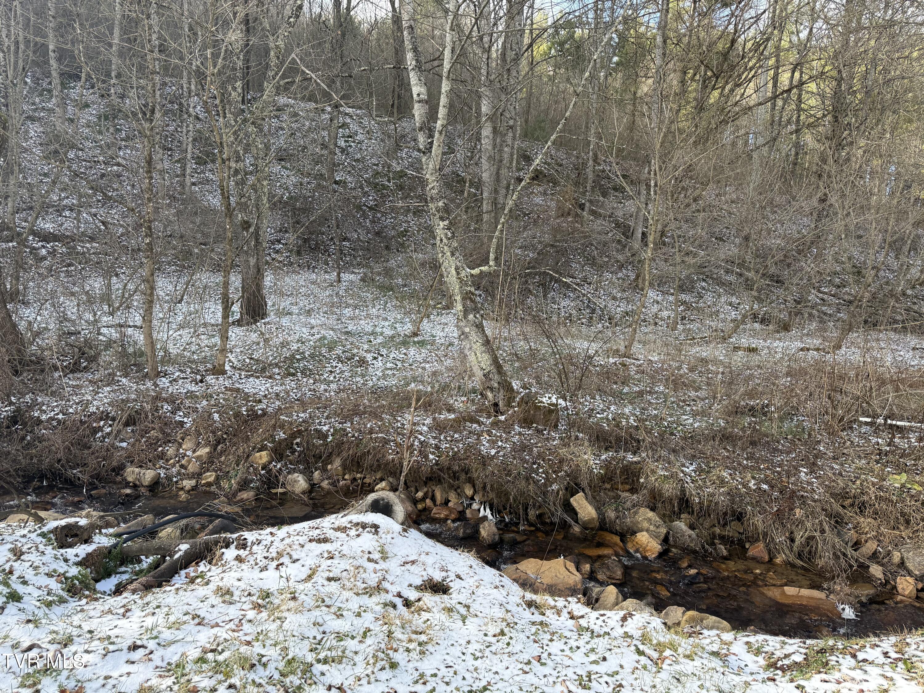 3191 Sugar Creek Road Laurel Bloomery, TN 37680 - Photo 17 of 34 3191 Sugar 41