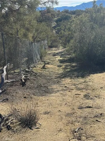 a view of a yard with a mountain