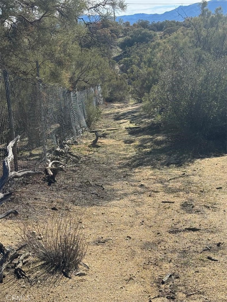 0 Wellman Road Anza, CA 92539 - Photo 5 of 16