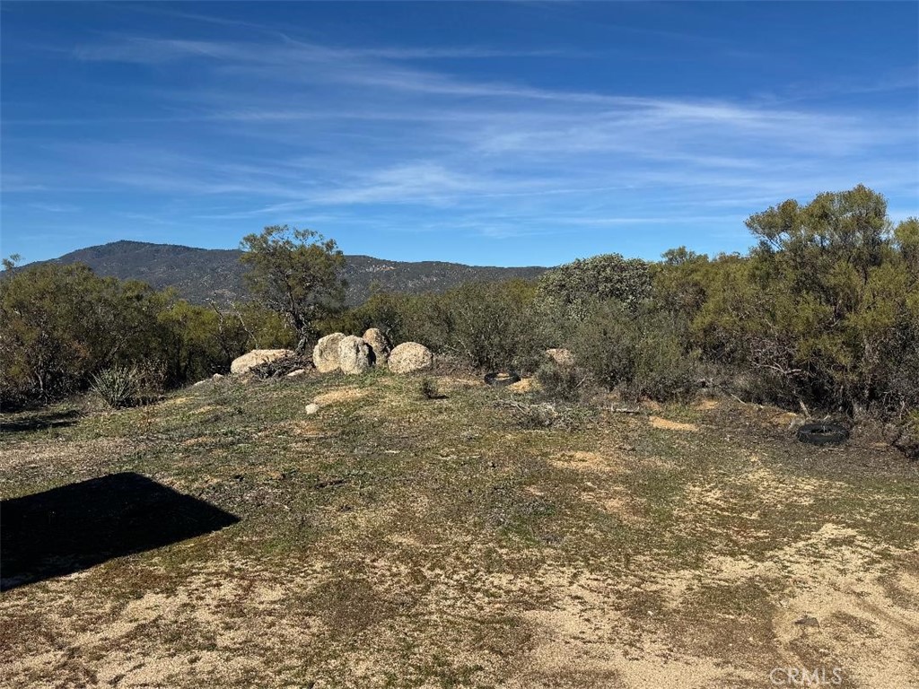 0 Wellman Road Anza, CA 92539 - Photo 6 of 16 a view of a yard with a mountain